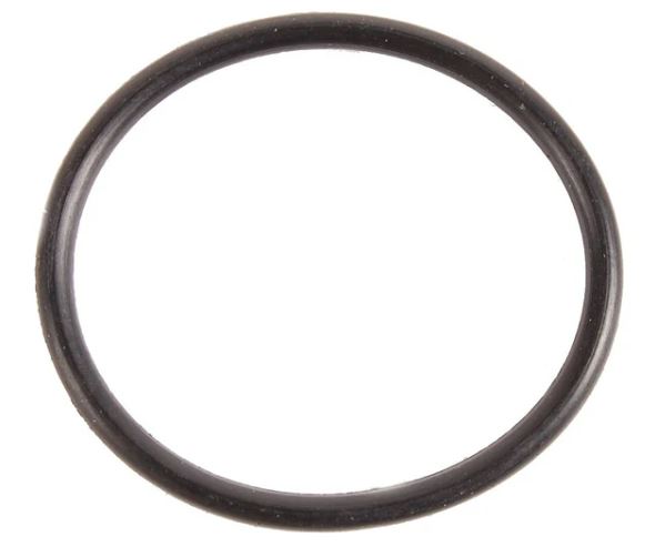 Johnson/Evinrude Thermostat Cover O-Ring