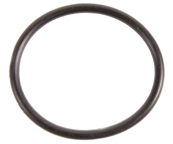 Johnson/Evinrude Thermostat Cover O-Ring REC 331188