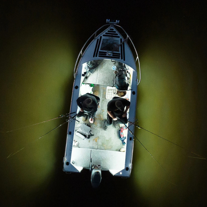 LED Strip Light 12v Waterproof 5m Roll