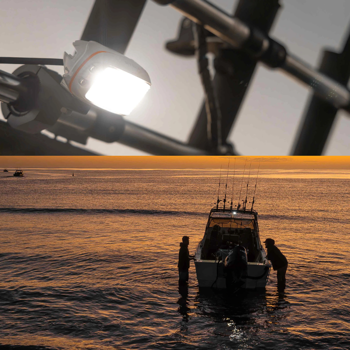 10W Mini V2 Marine Edition LED Flood Light 5700k (diffused)