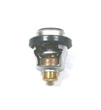 Johnson / Evinrude Outboard Thermostat 72º C 50317562  Replacement