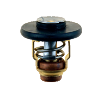Yamaha Thermostat  F 25  6FM-12411-00