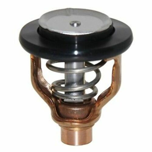 Yamaha Thermostat  V8 F350-F300   6AW-12411-00