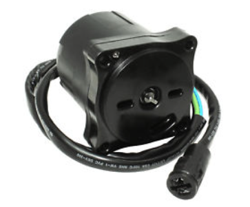 Tohatsu Outboard Trim Motor 150 HP HZY6-36120-013 Replacement