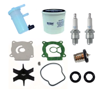 Johnson 25HP 4 Stroke Service Kit (2006-07) Replacement