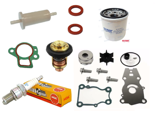 FT25BET High Trust Service Kit (2002-03)