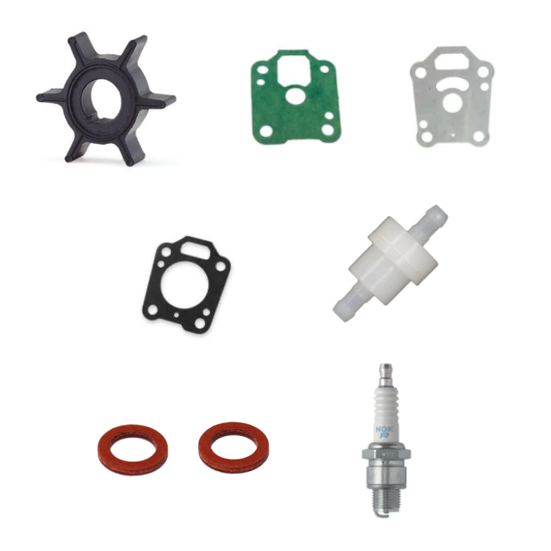 Service Kit T5.8BM Parsun Replacement