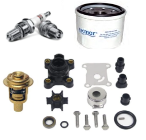 Evinrude 9.9-10HP 4 Stroke Service Kit (2000-01) Replacement